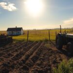 usufruto rural ou expertise legal usufruto rural ou expertise legal