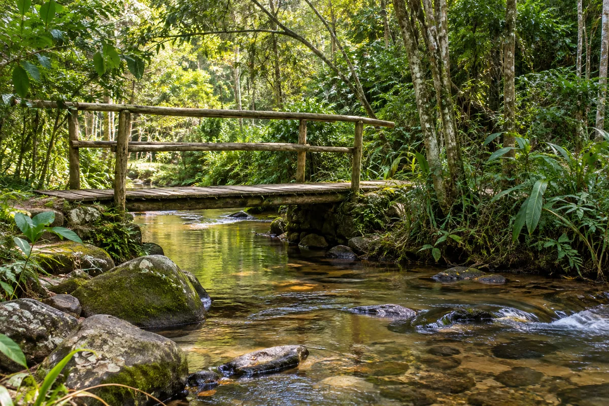 Ponte estreita sobre córrego em mata ciliar preservada