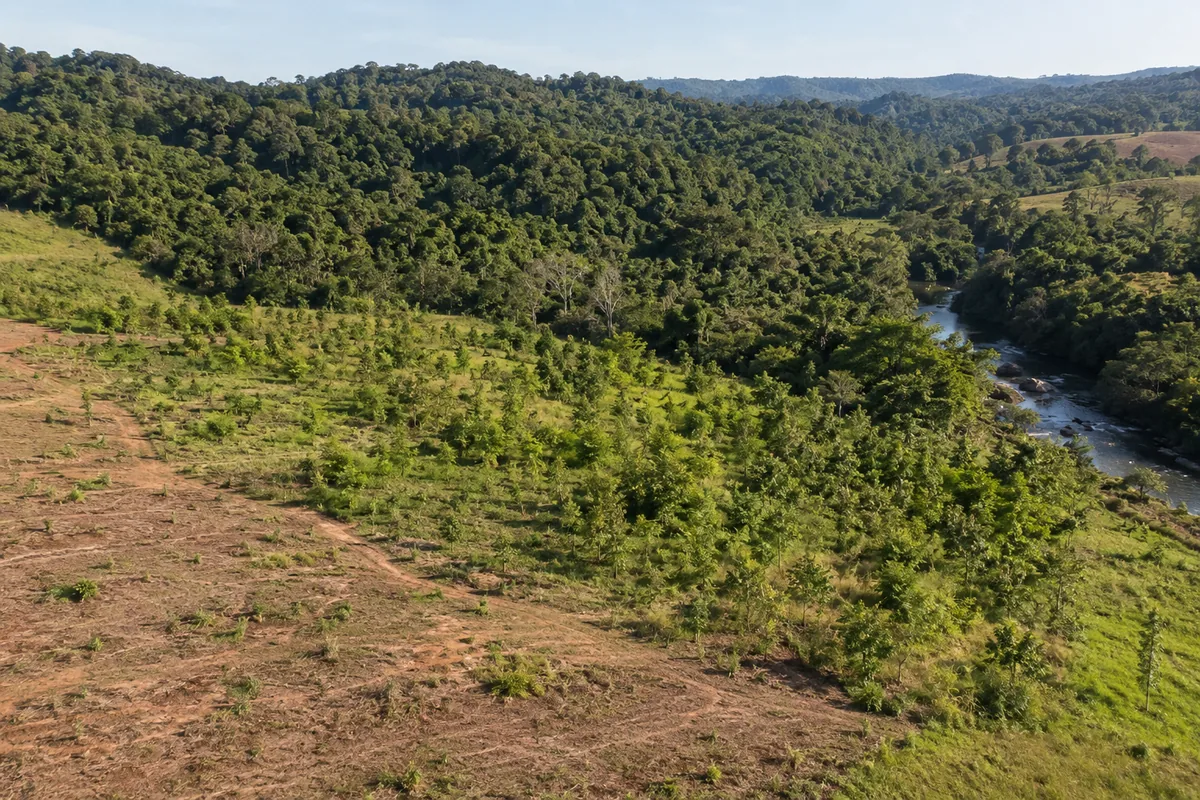 Área degradada em recuperação progressiva com vegetação nativa